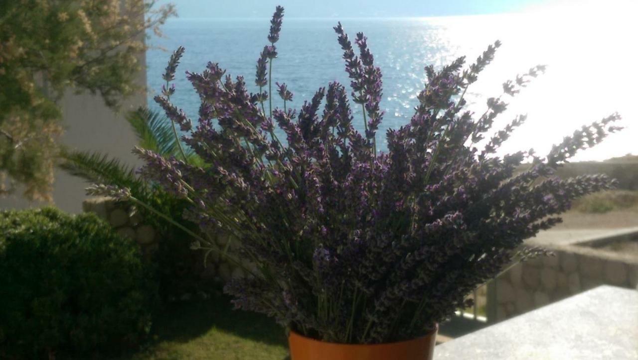 Holiday Home Ankica Ražanac Kültér fotó